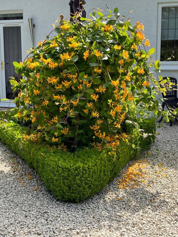 Retreat At The Knowe Auchincruive Estate Bed and Breakfast Άυρ Εξωτερικό φωτογραφία