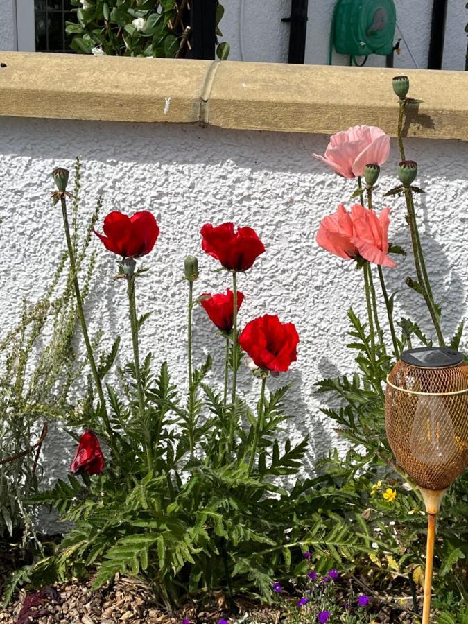 Retreat At The Knowe Auchincruive Estate Bed and Breakfast Άυρ Εξωτερικό φωτογραφία