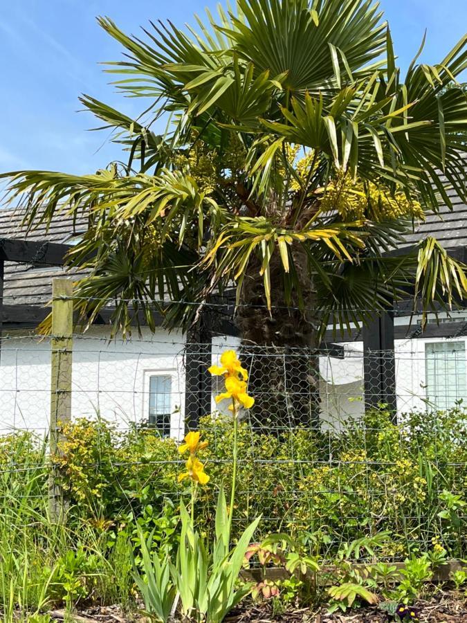 Retreat At The Knowe Auchincruive Estate Bed and Breakfast Άυρ Εξωτερικό φωτογραφία