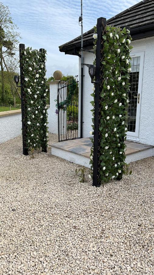 Retreat At The Knowe Auchincruive Estate Bed and Breakfast Άυρ Εξωτερικό φωτογραφία